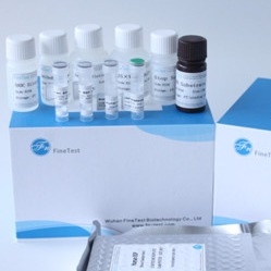 Fsc аттестовал интерферон Ifnw1 Omega-1 набора Elisa человеческий